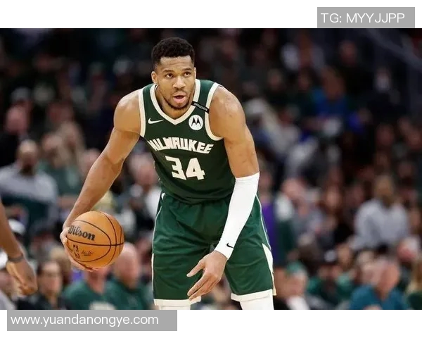 雄鹿官宣签约!NBA史上首次集齐三兄弟,为留字母哥拼了 雄鹿官宣签约!NBA史上首次集齐三兄弟,为留字母哥拼了