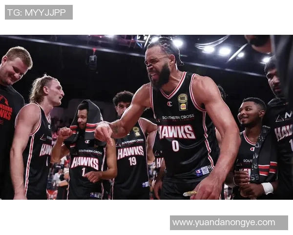 老鹰官方：麦基可以出战今日对阵墨尔本联