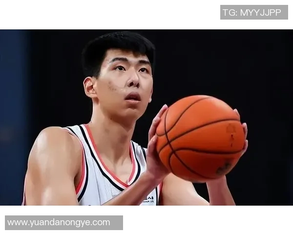 深度梳理：徐昕能否成为广州男篮季后赛前八的关键拼图？